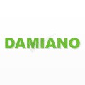 DAMIANO nome in polistirolo - Arial - Verde - Senza base