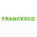 FRANCESCO nome in polistirolo - Arial - Verde - Senza base