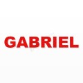 GABRIEL nome in polistirolo - Arial - Rosso - Senza base