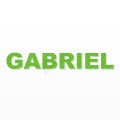 GABRIEL nome in polistirolo - Arial - Verde - Senza base