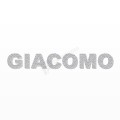 GIACOMO nome in polistirolo - Arial - Argento - Senza base