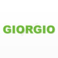 GIORGIO nome in polistirolo - Arial - Verde - Senza base