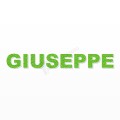 GIUSEPPE nome in polistirolo - Arial - Verde - Senza base