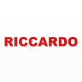 RICCARDO nome in polistirolo - Arial - Rosso - Senza base