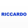 RICCARDO nome in polistirolo - Arial - Blu - Senza base