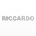 RICCARDO nome in polistirolo - Arial - Argento - Senza base