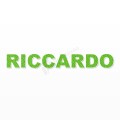 RICCARDO nome in polistirolo - Arial - Verde - Senza base