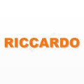 RICCARDO nome in polistirolo - Arial - Arancione - Senza base