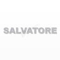SALVATORE nome in polistirolo - Arial - Argento - Senza base