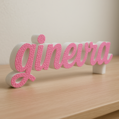 GINEVRA nome in polistirolo - Ristella - Rosa - GINEVRA.jpg