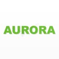 AURORA nome in polistirolo - Arial - Verde - Senza base