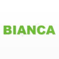 BIANCA nome in polistirolo - Arial - Verde - Senza base