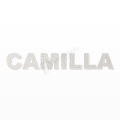 CAMILLA nome in polistirolo - Ristella - Rosa - CAMILLA.jpg 2