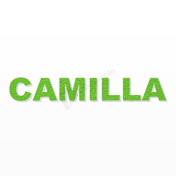 CAMILLA nome in polistirolo - Arial - Verde - Senza base