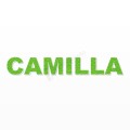 CAMILLA nome in polistirolo - Arial - Verde - Senza base