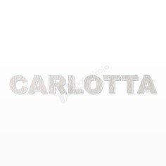 CARLOTTA nome in polistirolo - Ristella - Rosa - CARLOTTA.jpg 2