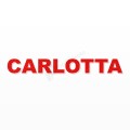 CARLOTTA nome in polistirolo - Arial - Rosso - Senza base