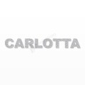 CARLOTTA nome in polistirolo - Arial - Argento - Senza base