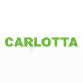 CARLOTTA nome in polistirolo - Arial - Verde - Senza base
