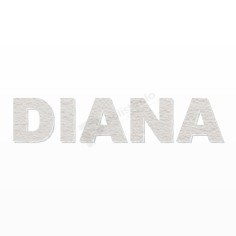 DIANA nome in polistirolo - Ristella - Rosa - DIANA.jpg 2