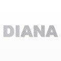 DIANA nome in polistirolo - Arial - Argento - Senza base