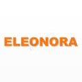 ELEONORA nome in polistirolo - Arial - Arancione - Senza base