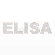 ELISA nome in polistirolo - Ristella - Rosa - ELISA.jpg 2
