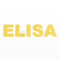 ELISA nome in polistirolo - Arial - Giallo - Senza base