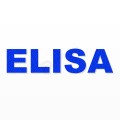 ELISA nome in polistirolo - Arial - Blu - Senza base
