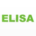 ELISA nome in polistirolo - Arial - Verde - Senza base