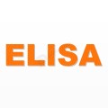 ELISA nome in polistirolo - Arial - Arancione - Senza base