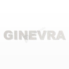 GINEVRA nome in polistirolo - Ristella - Rosa - GINEVRA.jpg 2