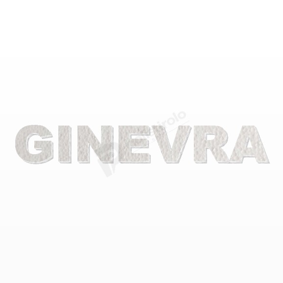 GINEVRA nome in polistirolo - Arial - Bianco - Senza base