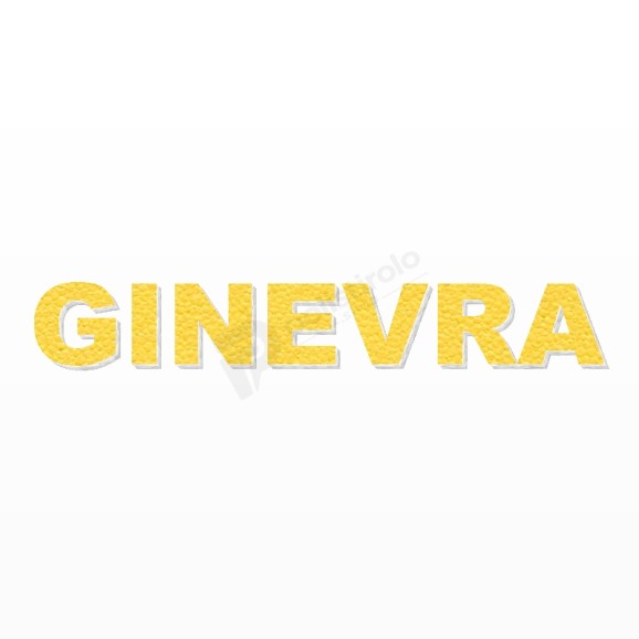 GINEVRA nome in polistirolo - Arial - Giallo - Senza base