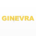 GINEVRA nome in polistirolo - Arial - Giallo - Senza base