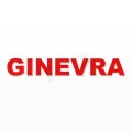 GINEVRA nome in polistirolo - Arial - Rosso - Senza base
