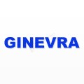 GINEVRA nome in polistirolo - Arial - Blu - Senza base
