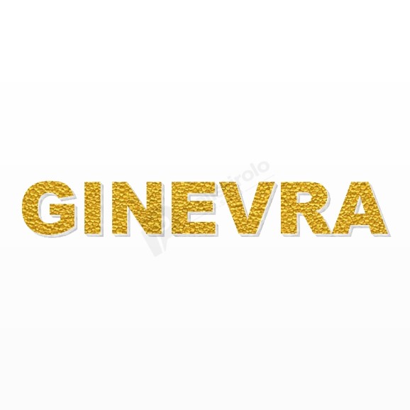 GINEVRA nome in polistirolo - Arial - Oro - Senza base