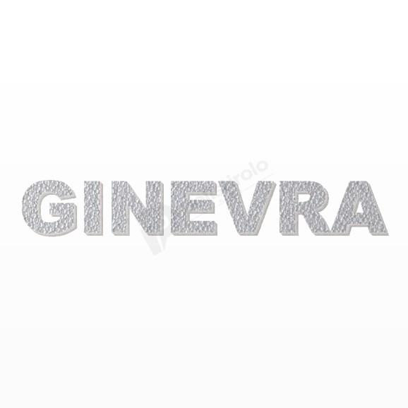 GINEVRA nome in polistirolo - Arial - Argento - Senza base