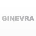 GINEVRA nome in polistirolo - Arial - Argento - Senza base