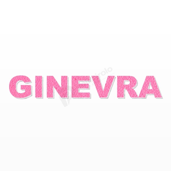 GINEVRA nome in polistirolo - Arial - Rosa - Senza base