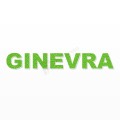 GINEVRA nome in polistirolo - Arial - Verde - Senza base