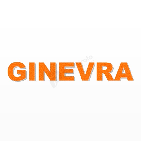 GINEVRA nome in polistirolo - Arial - Arancione - Senza base