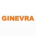 GINEVRA nome in polistirolo - Arial - Arancione - Senza base