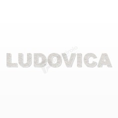 LUDOVICA nome in polistirolo - Ristella - Rosa - LUDOVICA.jpg 2