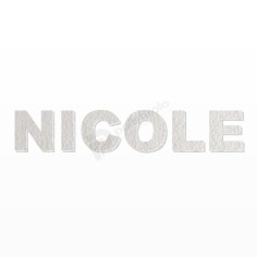 NICOLE nome in polistirolo - Ristella - Rosa - NICOLE.jpg 2