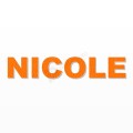 NICOLE nome in polistirolo - Arial - Arancione - Senza base