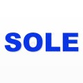 SOLE nome in polistirolo - Arial - Blu - Senza base