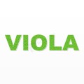 VIOLA nome in polistirolo - Arial - Verde - Senza base