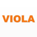 VIOLA nome in polistirolo - Arial - Arancione - Senza base